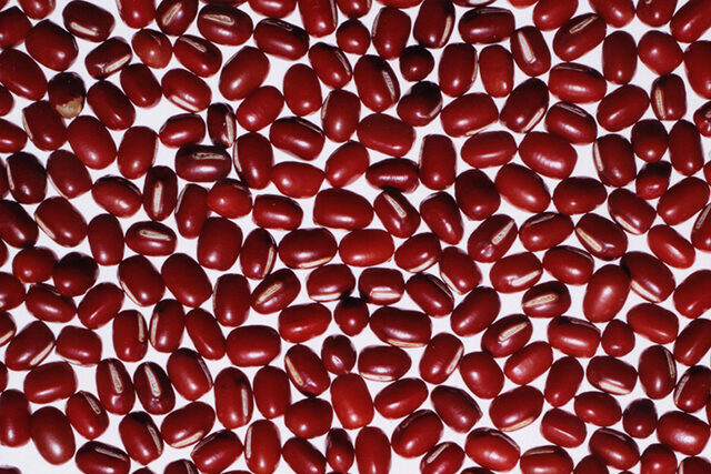 Red beans (Azuki)