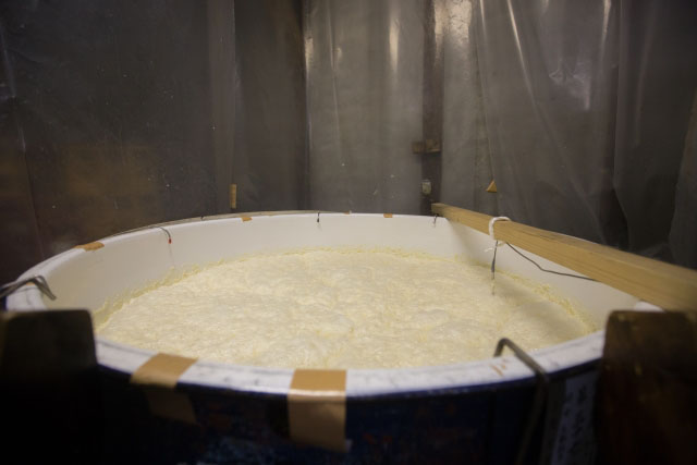 Méthode de production Saké moromi-saké-fabrication