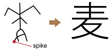 mugi-wheat-kanji-koji