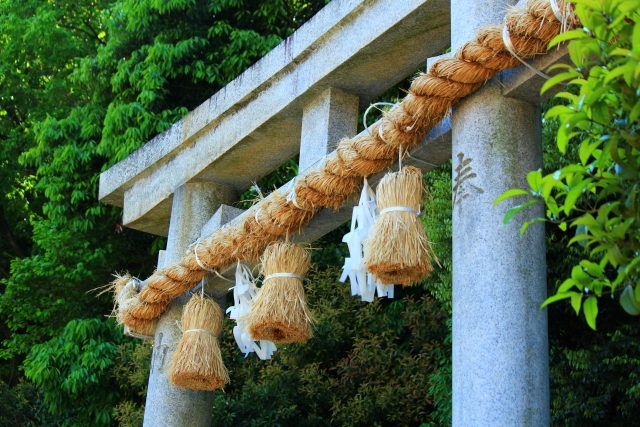 Sacred gate (Torii) and Shimenawa