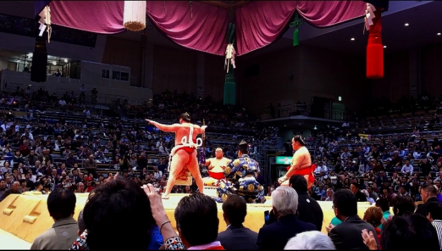 Sumo wrestlers on Dohyo