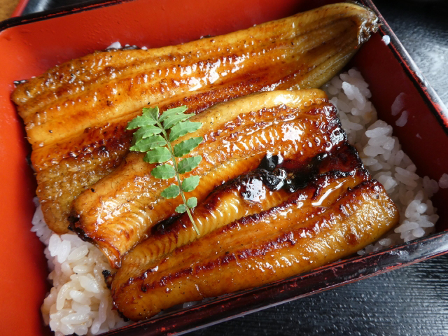 unagi-cut-by-back-side_Kanto style