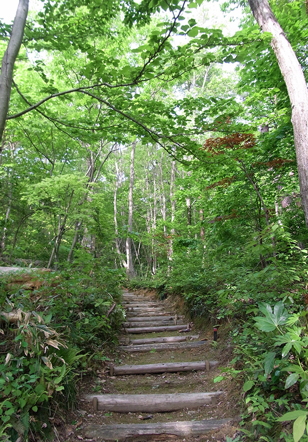 summer-niigata-yahiko-japan