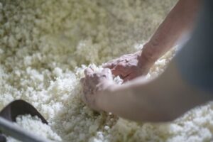 koji-fermentation-umami