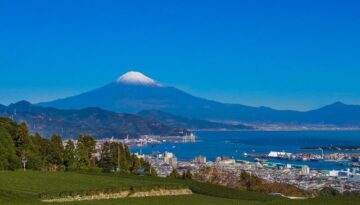 mt.fuji-and-tea-field