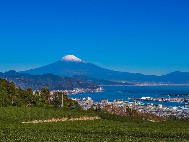 mt.fuji-and-tea-field