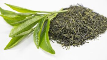 tea-leaves-fresh-and-dried