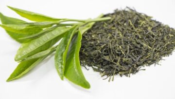 tea-leaves-fresh-and-dried