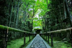 daitokuji-rikyu