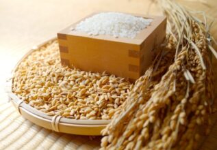 rice